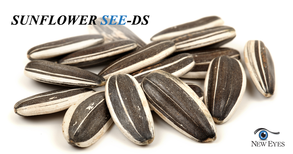 New_Eyes_Las_Vegas_Eye_Foods_Sunflower_Seeds